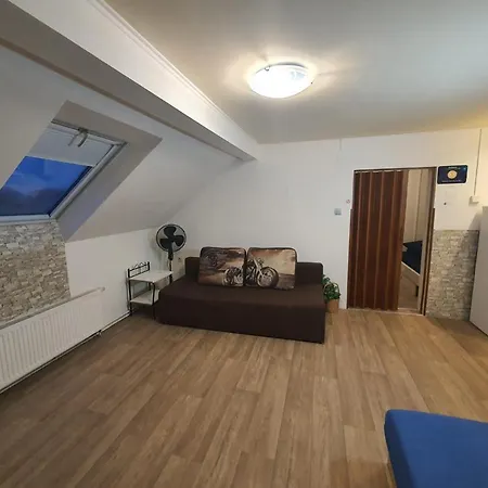 ホームステイ Apartman U Zvonicky 45 Srch *