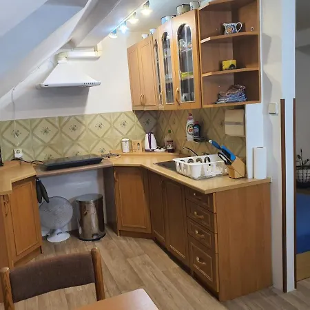 Apartman U Zvonicky 45 Srch パルドゥビツェ