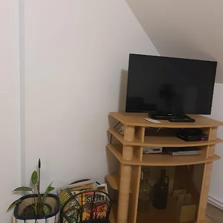 ホームステイ Apartman U Zvonicky 45 Srch