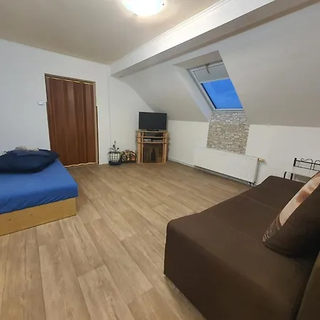 ホームステイ Apartman U Zvonicky 45 Srch *