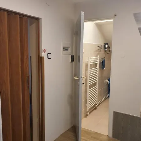 ホームステイ Apartman U Zvonicky 45 Srch