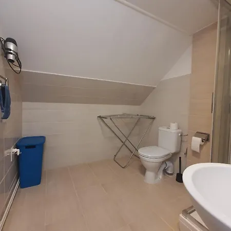 ホームステイ Apartman U Zvonicky 45 Srch
