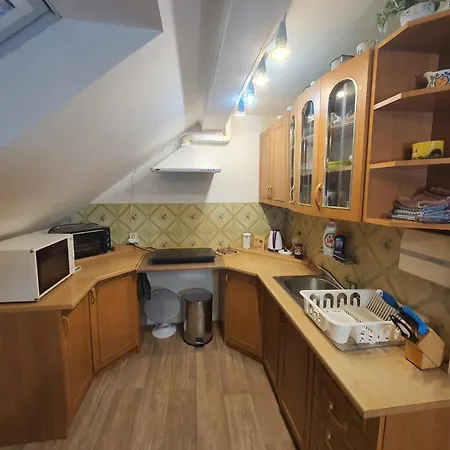 ホームステイ Apartman U Zvonicky 45 Srch