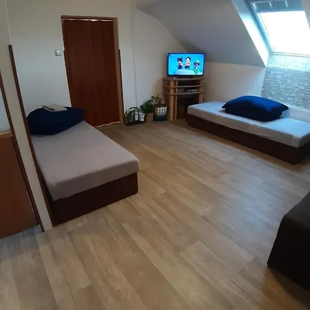 ホームステイ Apartman U Zvonicky 45 Srch